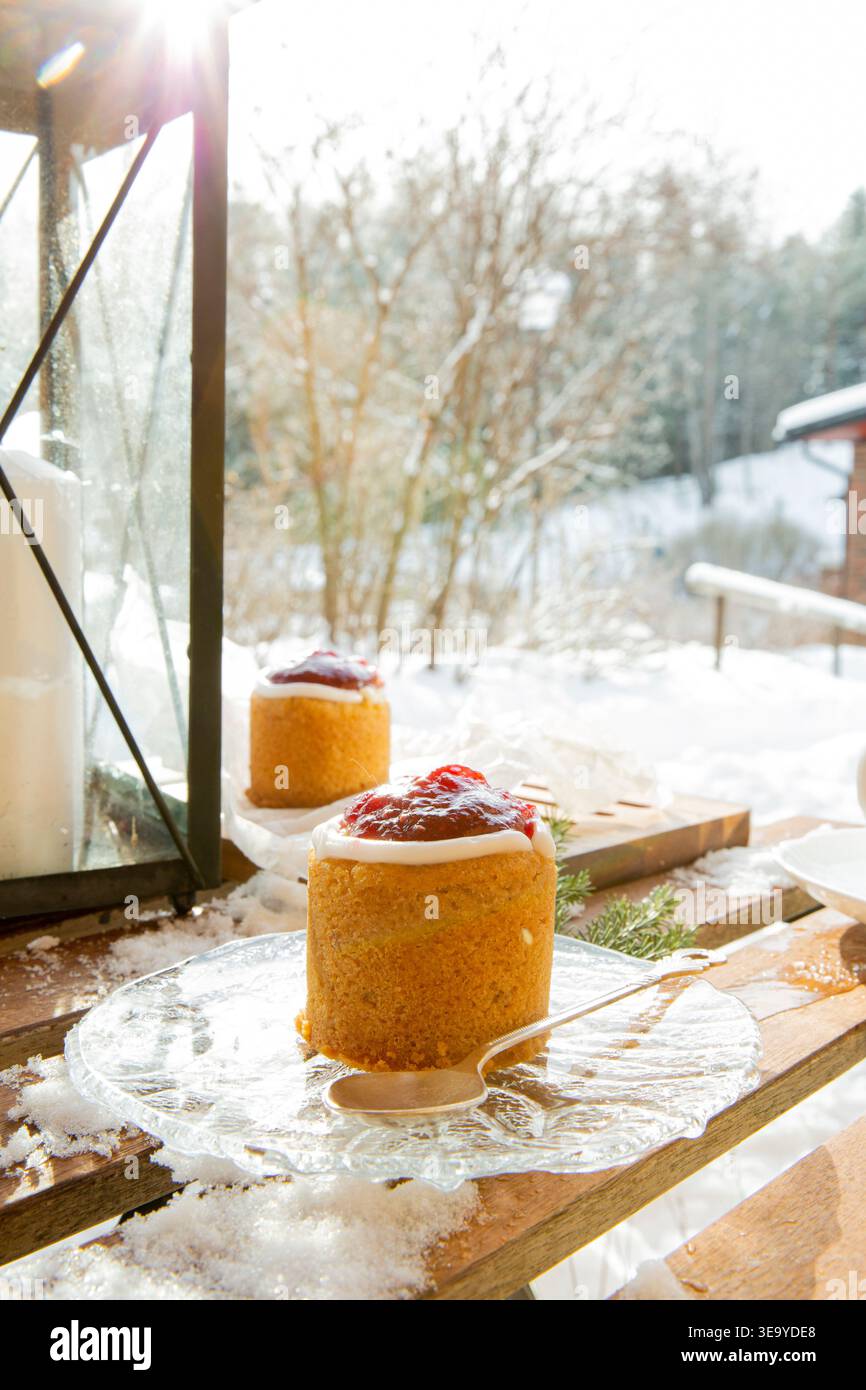 Torta Runeberg finlandese tradizionale con caffè sulla terrazza innevata. Intimo momento di hygge nordica, fika invernale e dessert scandinavi stagionali. Foto Stock