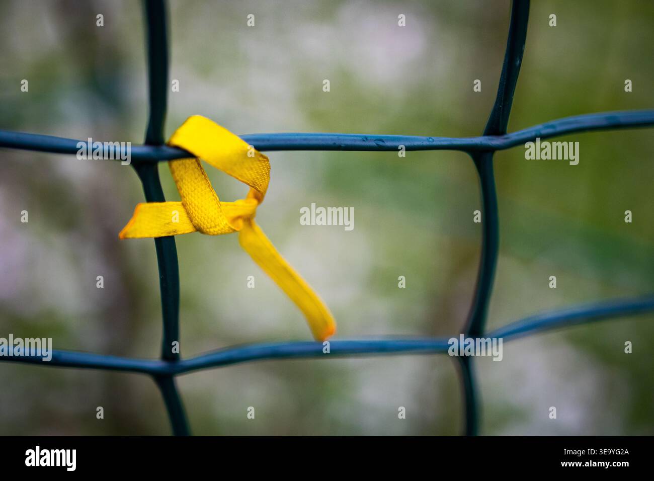 Nastro giallo brillante legato a una recinzione di metallo verde dopo la pioggia con bokeh sullo sfondo. Il nodo semplice si distingue perché i fiocchi di neve si spostano oltre Foto Stock