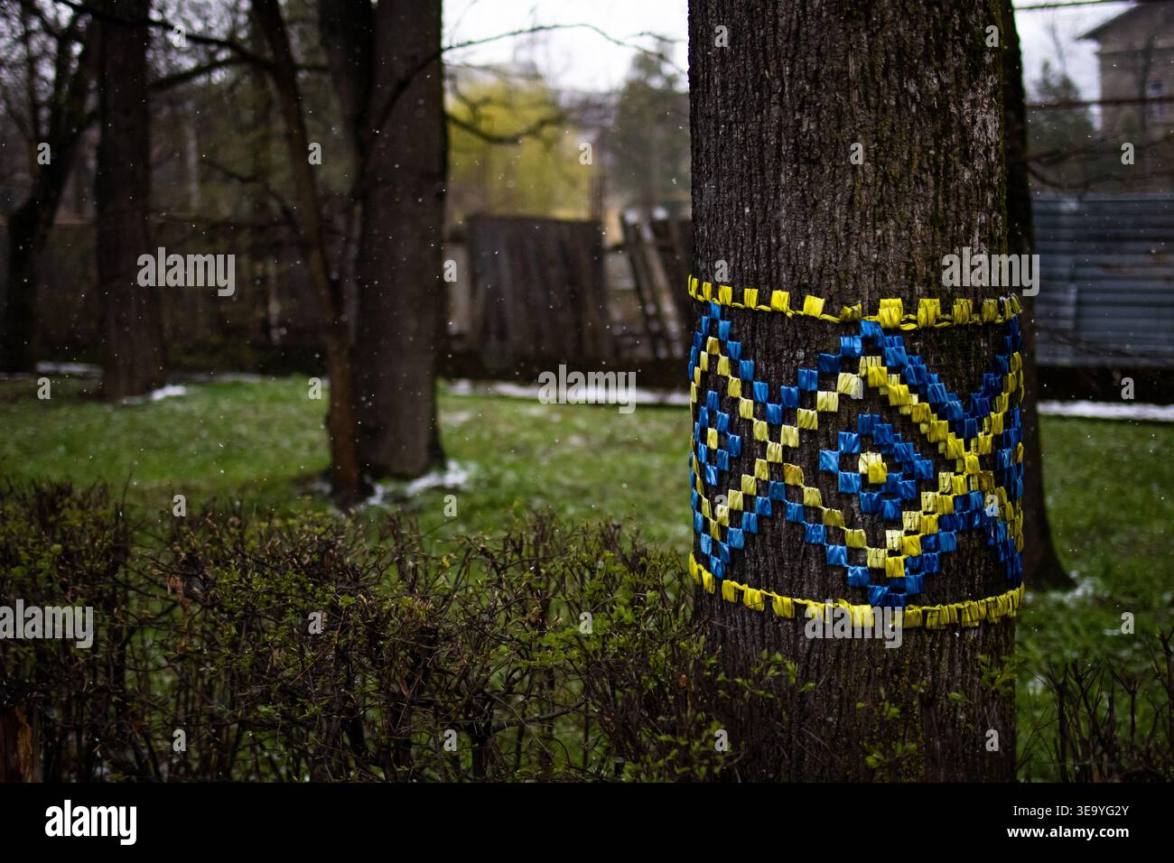 Tronco d'albero avvolto da una fascia blu e gialla fatta a mano come la neve si allontana in un parco tranquillo. Il motivo geometrico aggiunge colore alla corteccia umida suggerendo Foto Stock