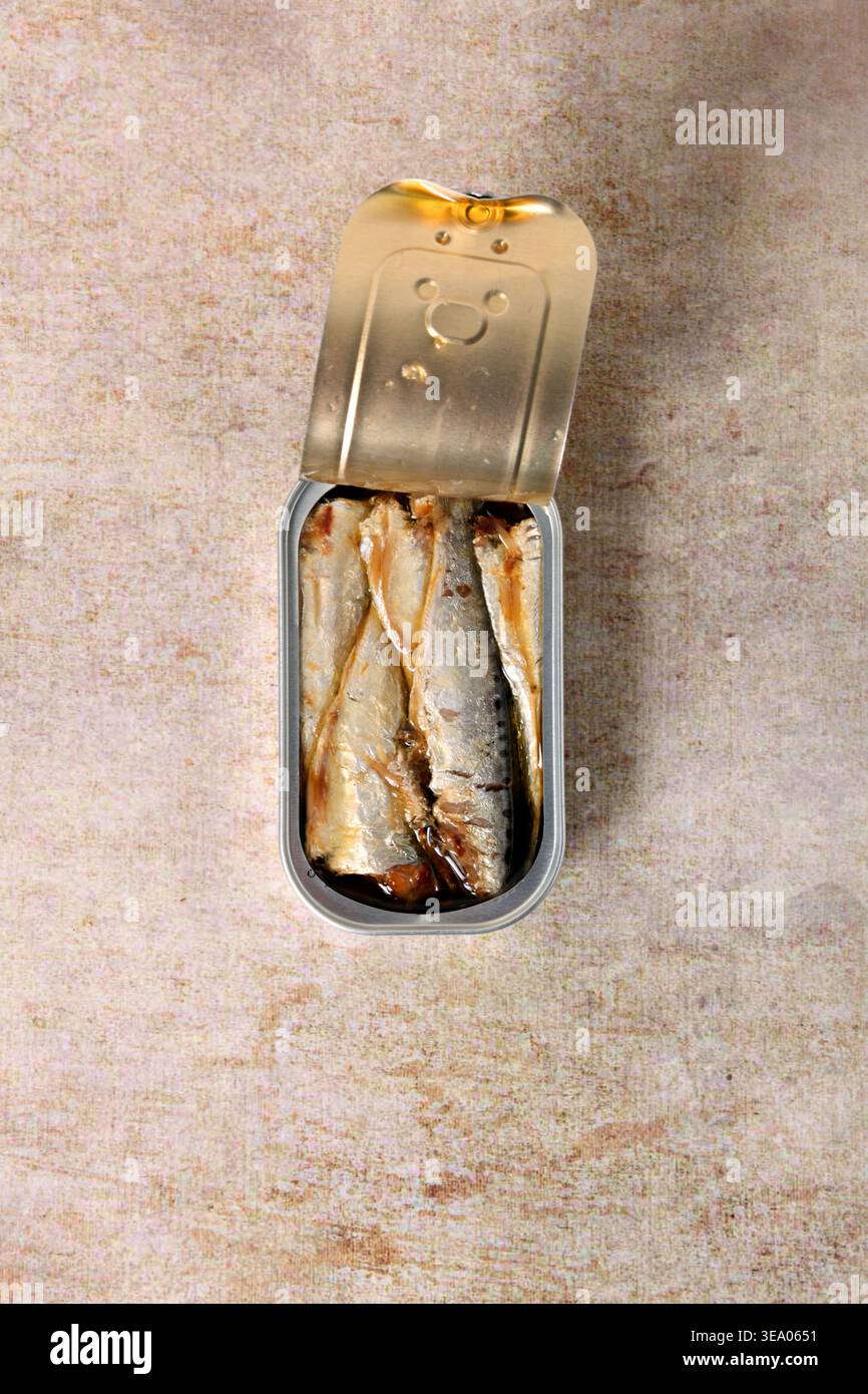 Lattina di sardine in olio d'oliva vista dall'alto Foto Stock