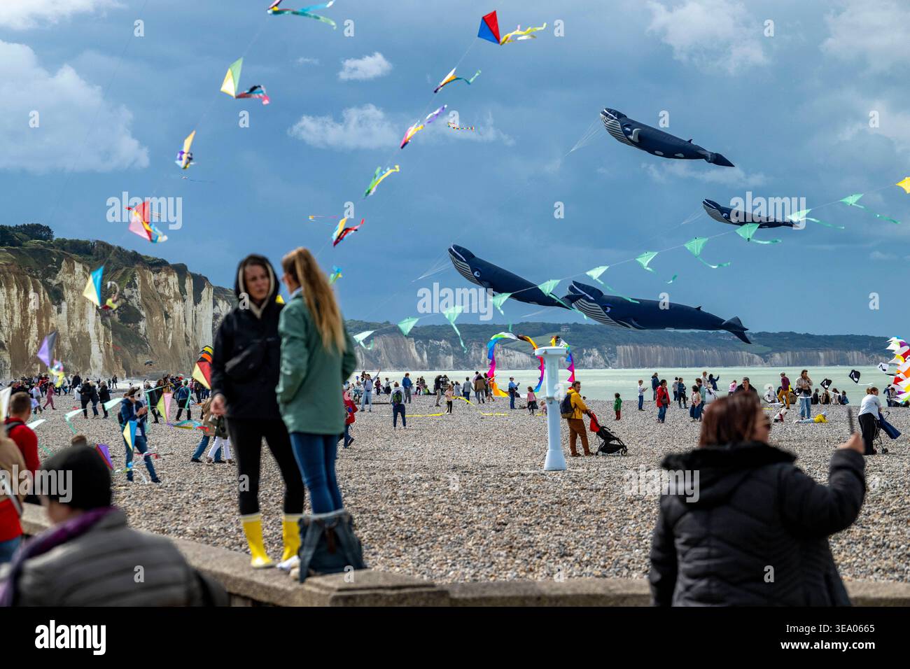 Dieppe (Normandia, Francia settentrionale): Festival Internazionale degli aquiloni Foto Stock