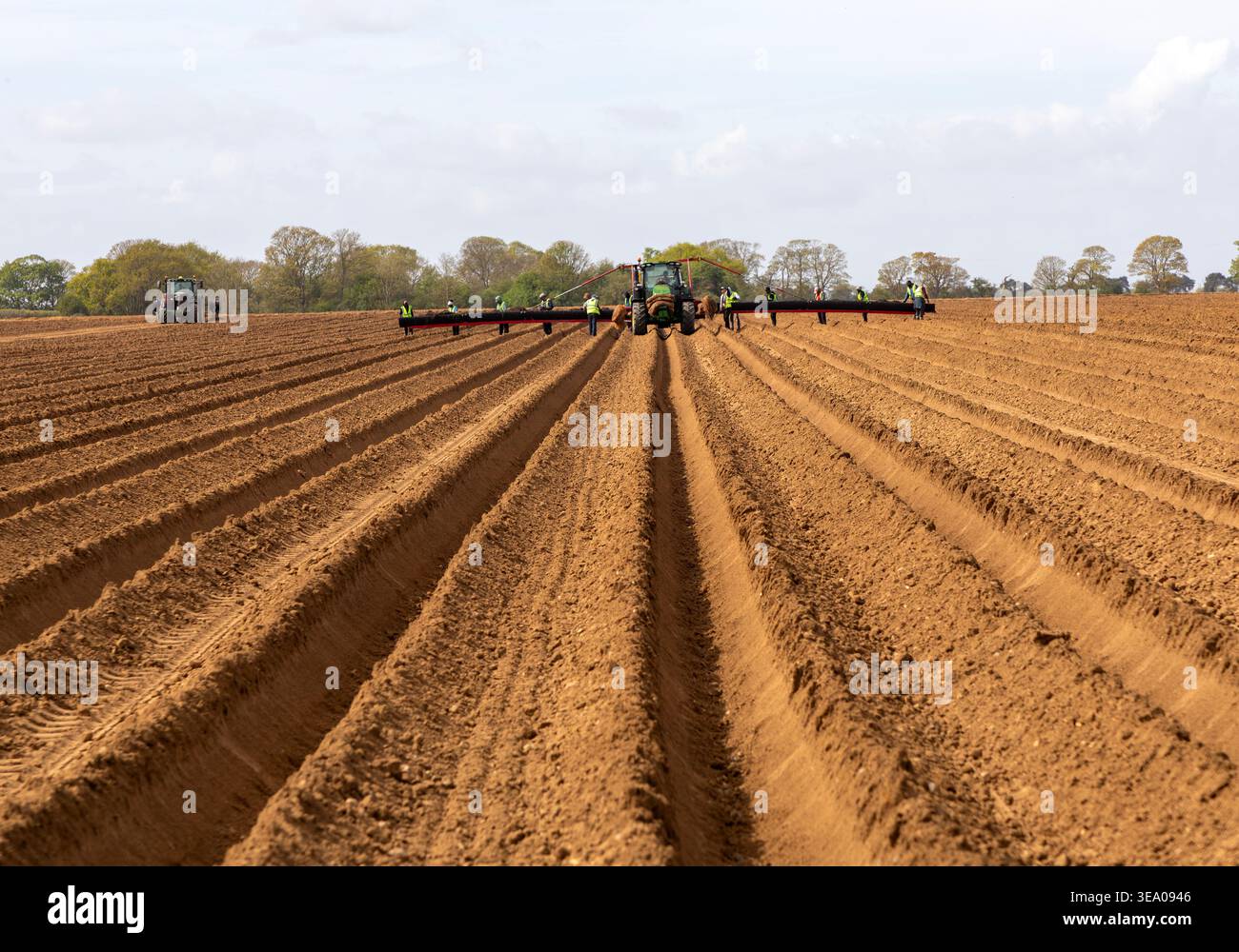 Piattaforma di semina per sistemi di trasporto con braccio largo per trattori John Deere 6R per la semina di corone di asparagi, Shottisham, Suffolk, Inghilterra, Regno Unito Foto Stock