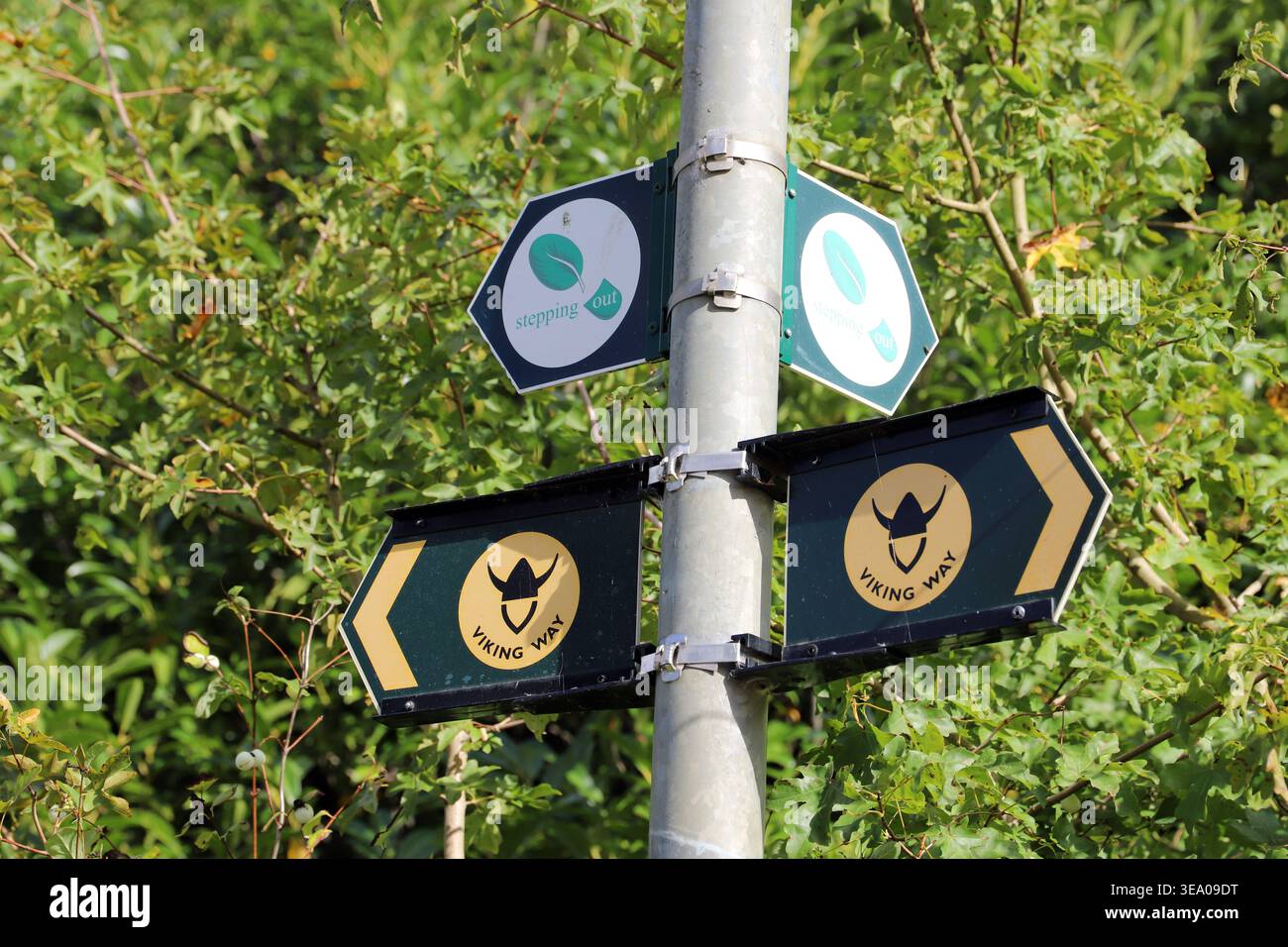 Indicazioni stradali sul sentiero a lunga distanza Viking Way Foto Stock