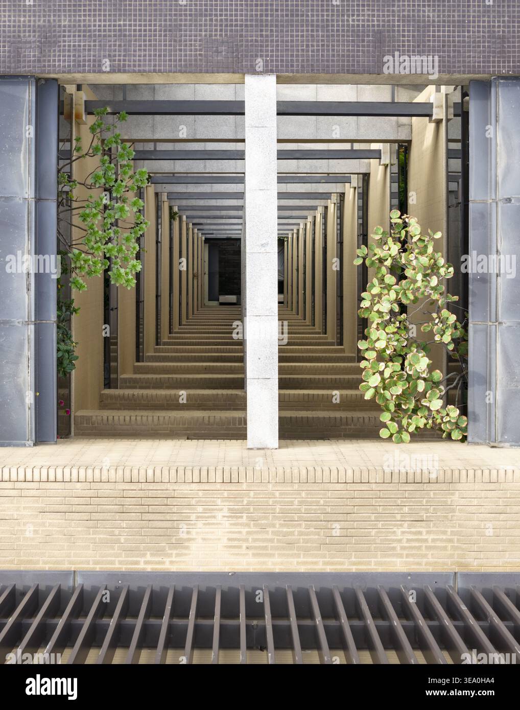 Vista aerea dell'edificio Lightwell con la sua struttura architettonica simmetrica e le piante verdi di Taiwan. Foto Stock
