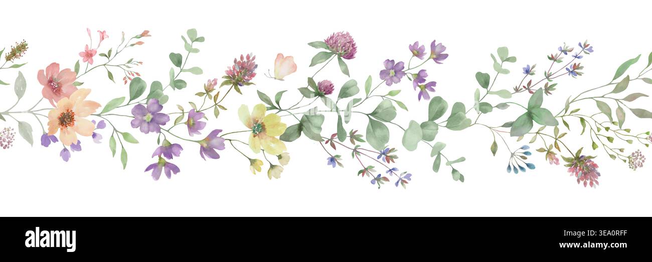 Bordo floreale di acquerello senza cuciture con trifoglio selvatico e fiori di prato. Vegetazione botanica estiva pianta orizzontale, vegetazione dipinta a mano.Vector. Illustrazione Vettoriale