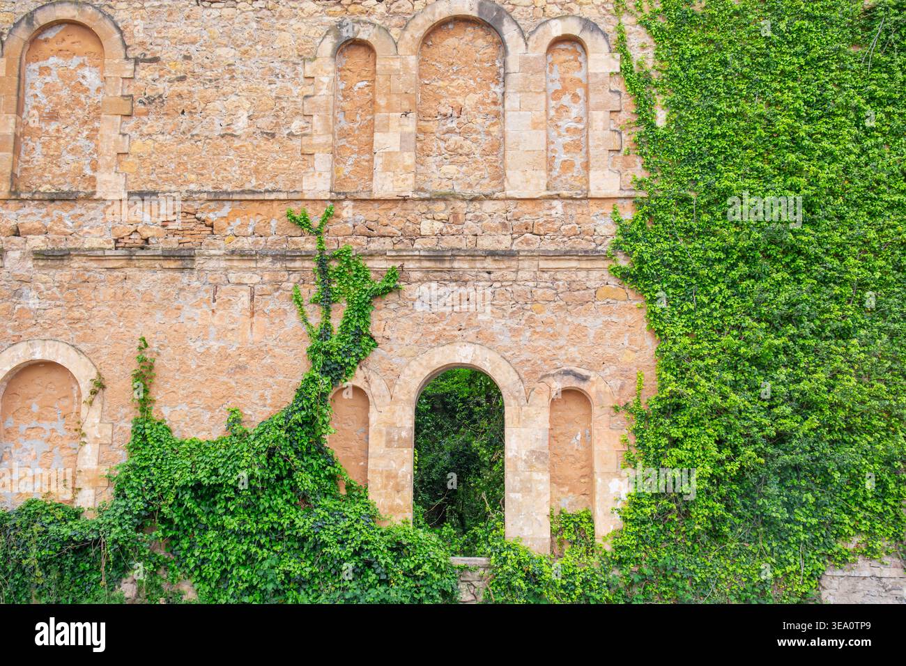 Storica facciata in pietra di edificio abbandonato con archi simmetrici parzialmente coperti da piante di edera verdi e porta d'ingresso. Rovine di una casa infestata Foto Stock