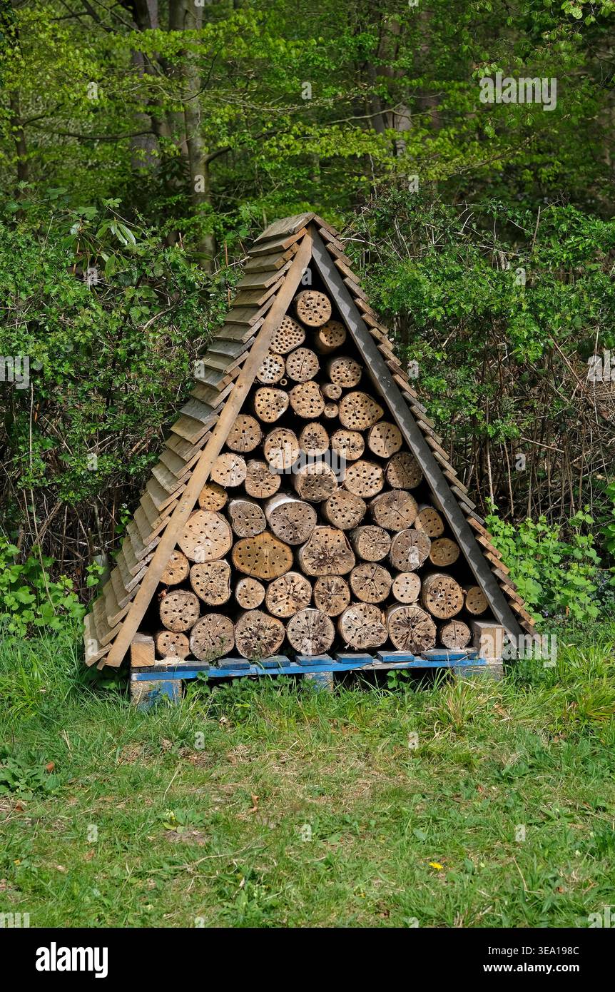 bug hotel, sheringham park, nord di norfolk, inghilterra Foto Stock