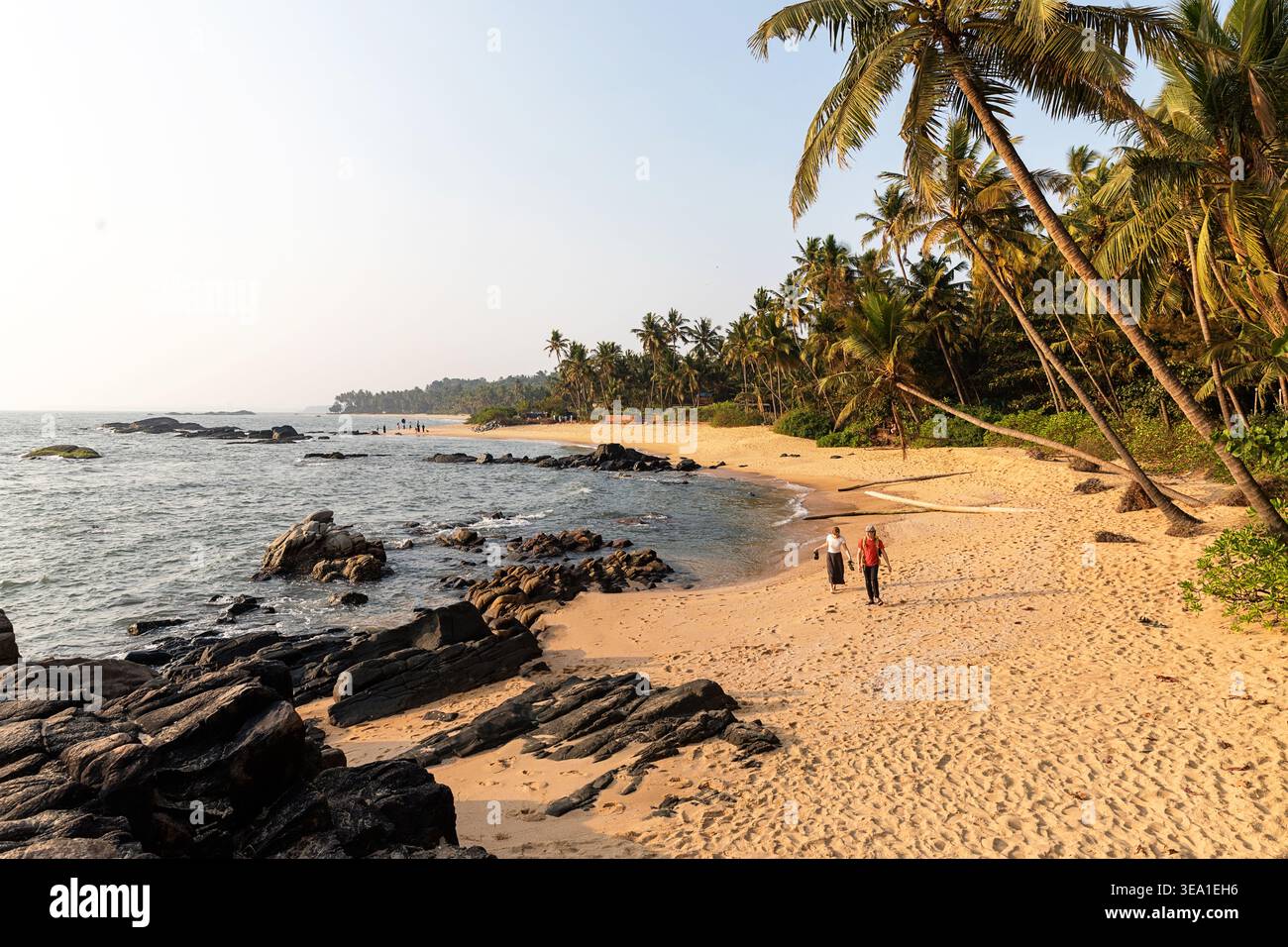 Fantastica spiaggia di sabbia incontaminata vicino alla città di Kannur nel Kerala, con enormi palme tropicali e una costa intatta e non turistica, India. Foto Stock