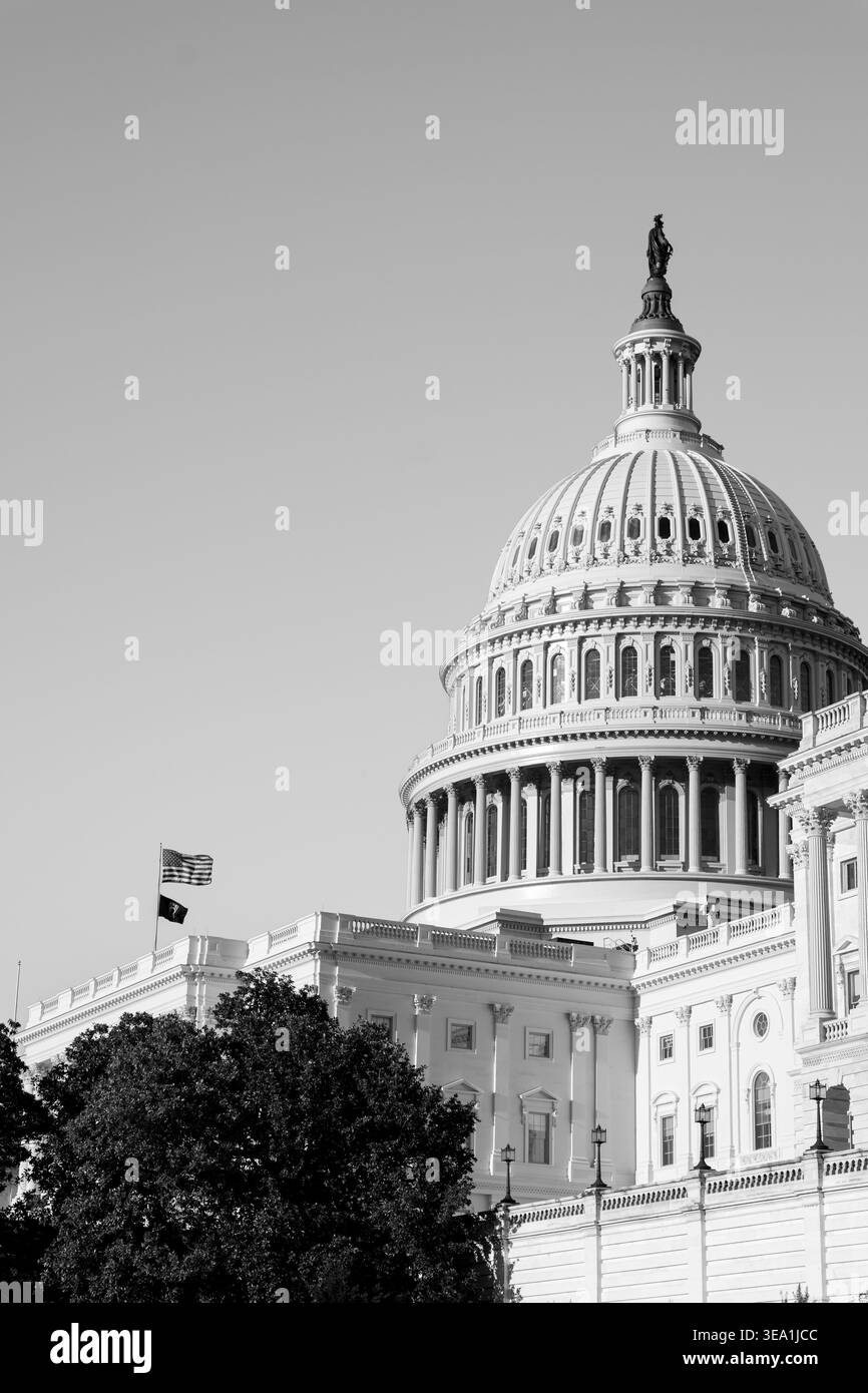 Campidoglio degli Stati Uniti, Washington, DC, Stati Uniti Foto Stock