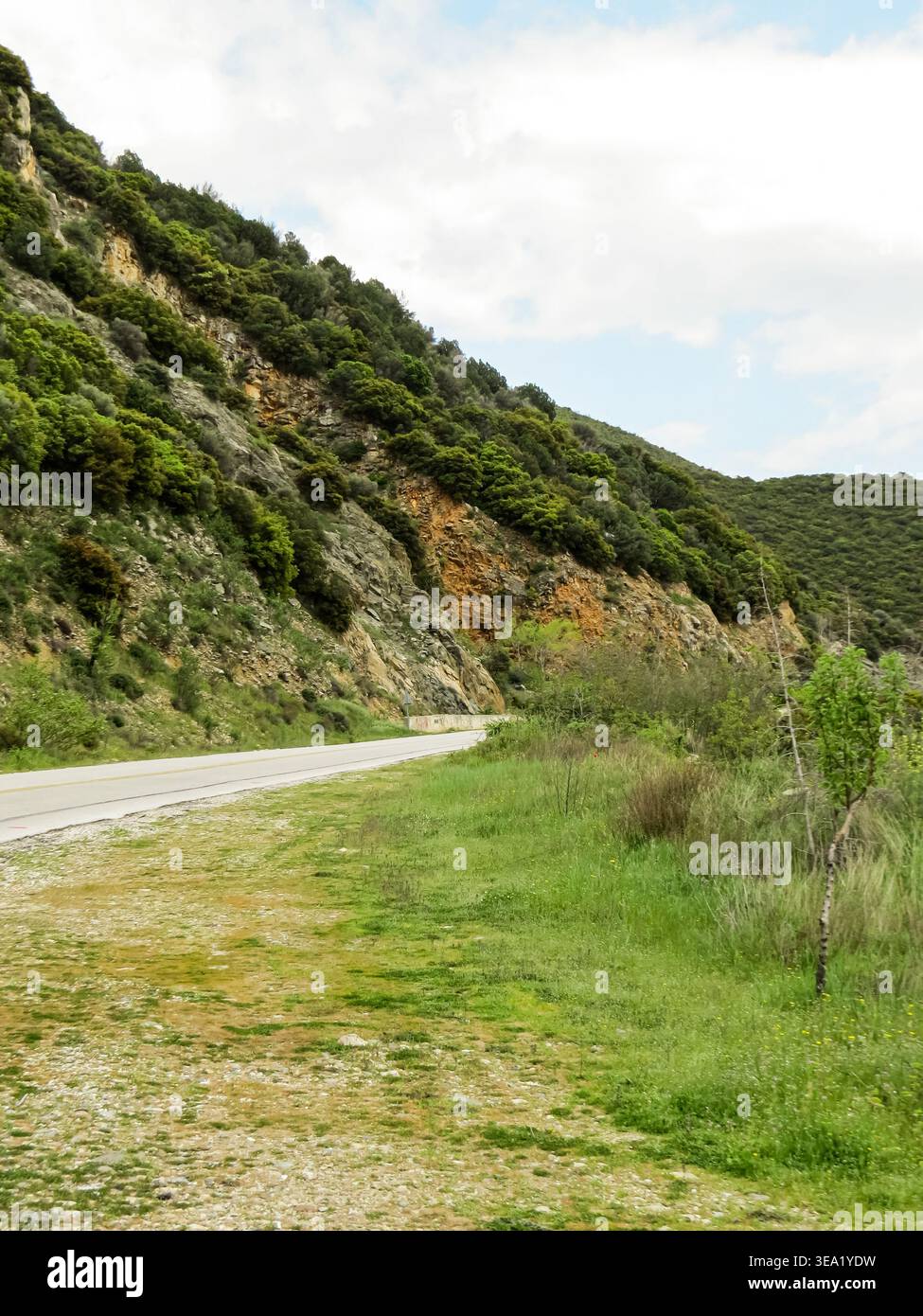 Strada asfaltata vuota che si snoda tra verdi colline e pendii di montagna sotto il cielo nuvoloso. Foto Stock