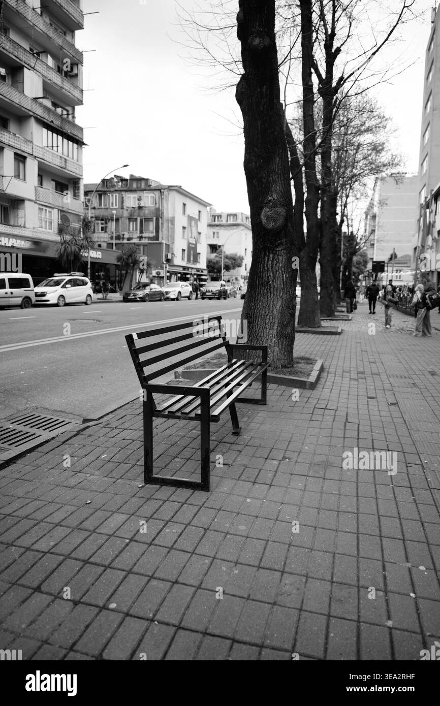 Fotografia in bianco e nero di City Street con panchina e alberi Foto Stock
