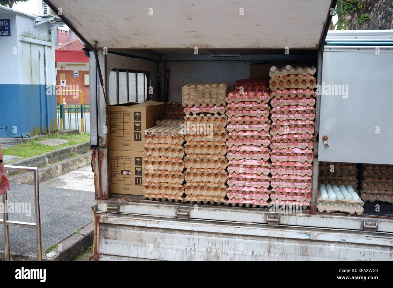 Molte casse di uova piene impilate all'interno di un piccolo furgone a Singapore in Asia. Foto Stock