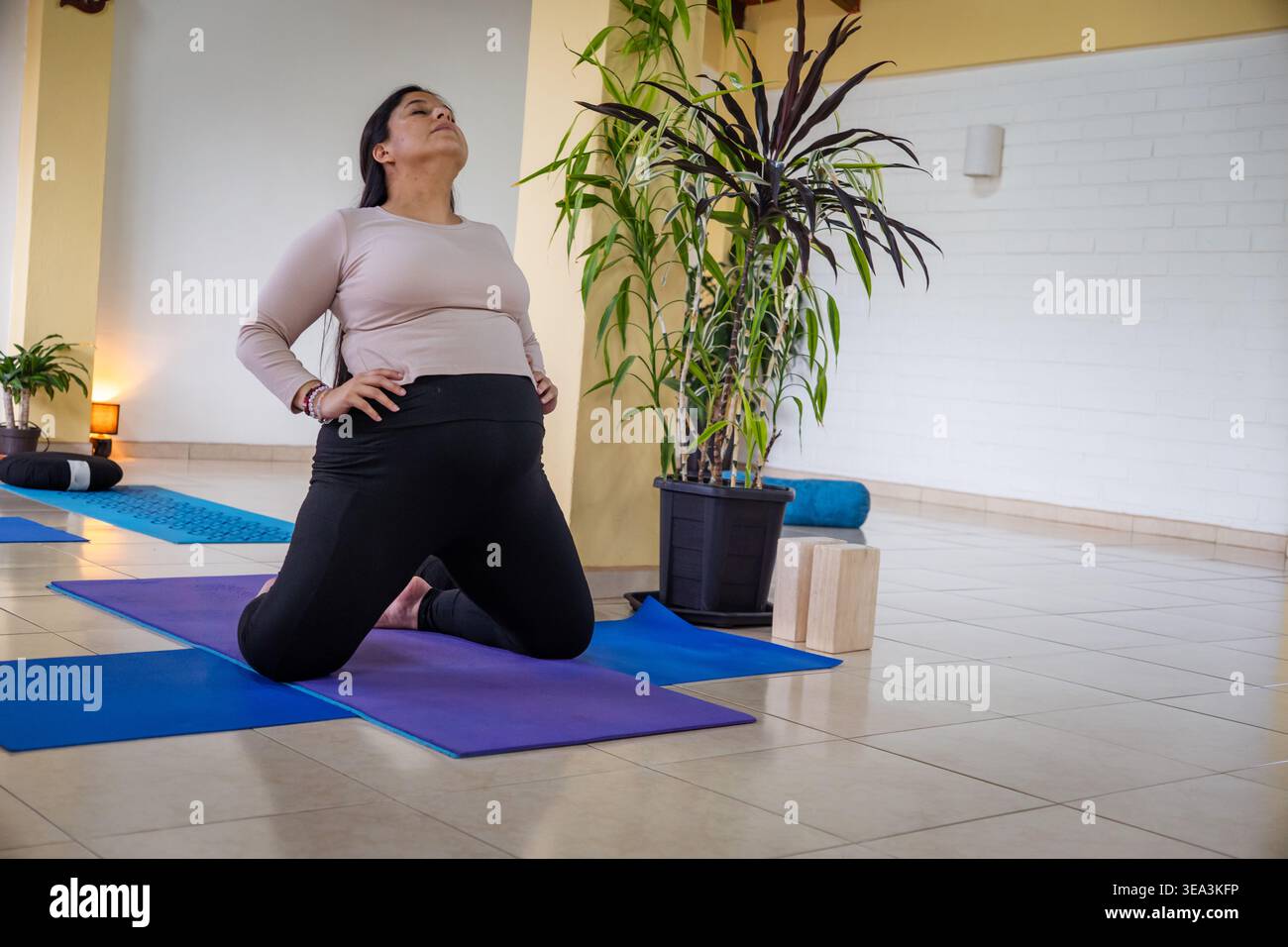 Donna incinta che esegue esercizi di yoga in un tranquillo studio Foto Stock