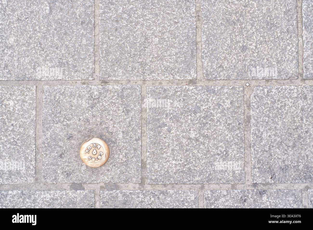 Un marcatore catastale circolare in ottone si trova in pietre di granito grigio chiaro nella Corea del Sud, evidenziando la mappatura urbana e le infrastrutture. Foto Stock