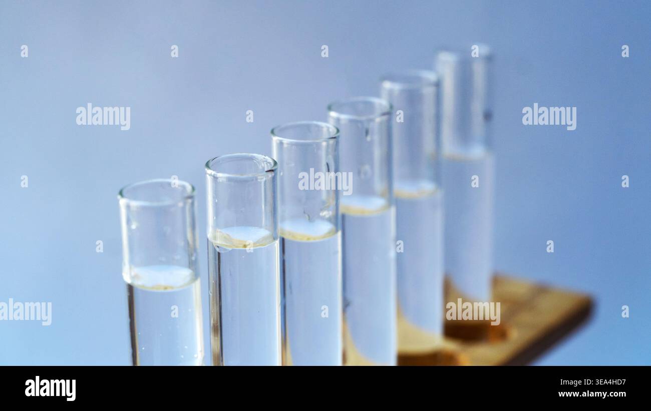 Primo piano di più provette in vetro contenenti campioni liquidi trasparenti in un rack da laboratorio in legno. Foto Stock
