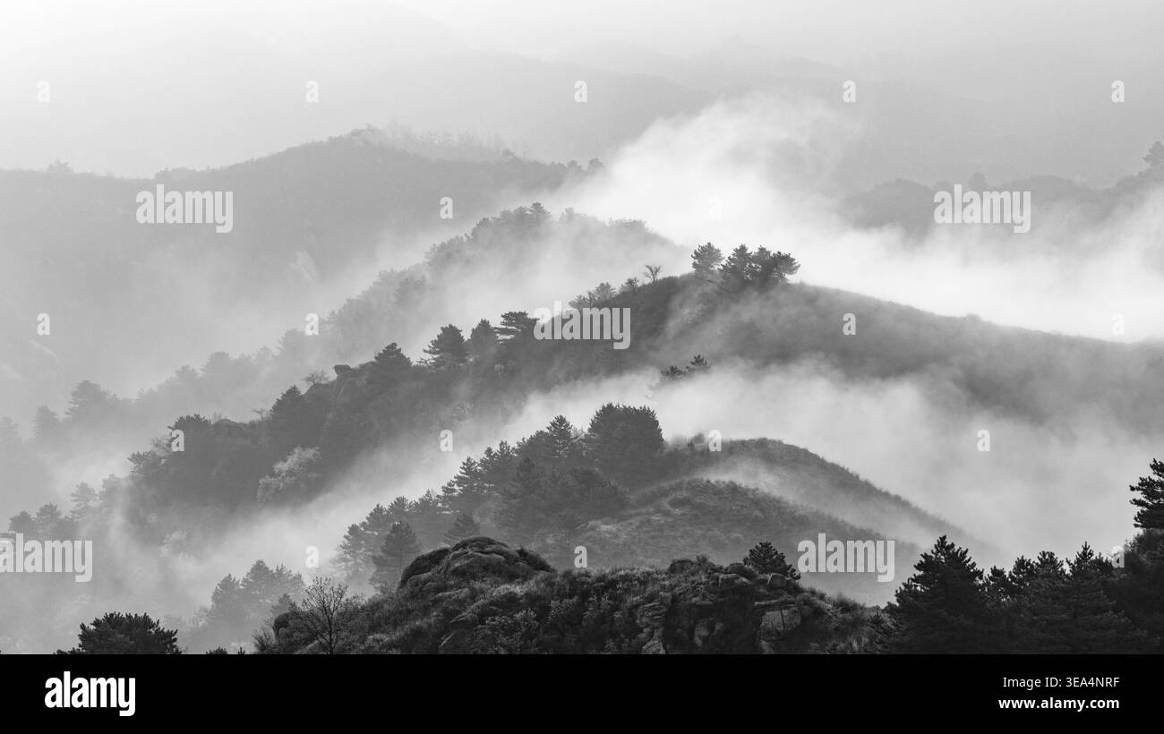 Veduta aerea della grande Muraglia di Futuyu circondata da un mare di nuvole e fiorenti fioriture di pesca in primavera, Hebei, Cina. Foto Stock