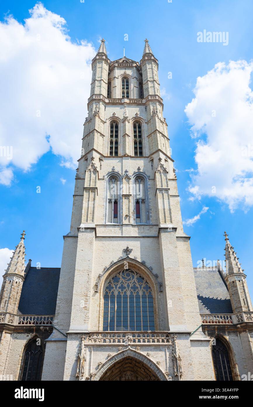 La storica Cattedrale di San Bavone o edificio Sint Baafskathedraal con torre gotica a Gand, Belgio Foto Stock