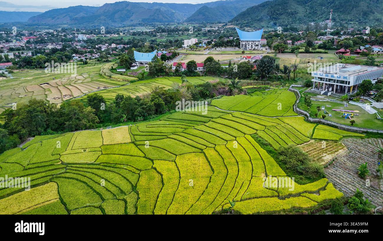 Vista aerea dei campi di riso terrazzati sulle pendici del lago Toba, Sumatra settentrionale Foto Stock