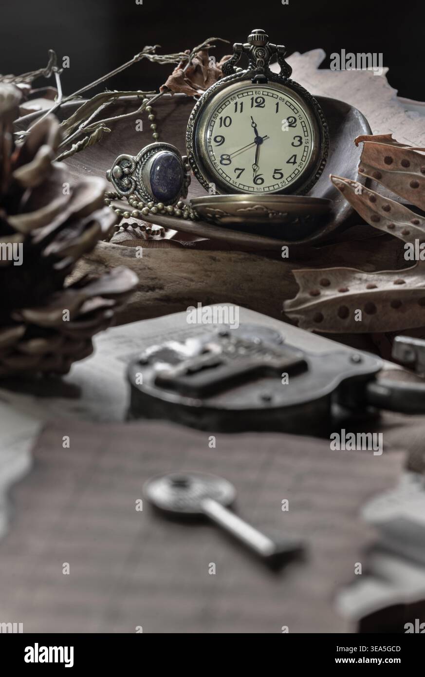 Una collezione di antiche curiosità riposa in un quadro di tranquilla nostalgia, inondata di luce eterea. Al centro, un orologio da tasca classico si abbina perfettamente al tuo look Foto Stock
