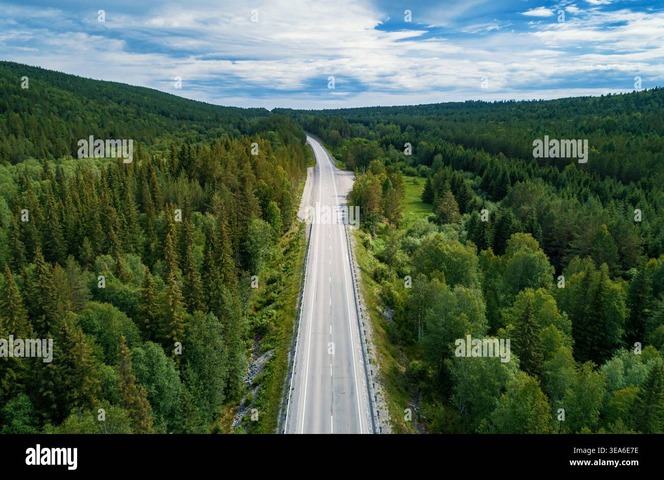 Una lunga e vuota strada si estende attraverso una vivace foresta verde, mescolando conifere e alberi decidui. Foto Stock