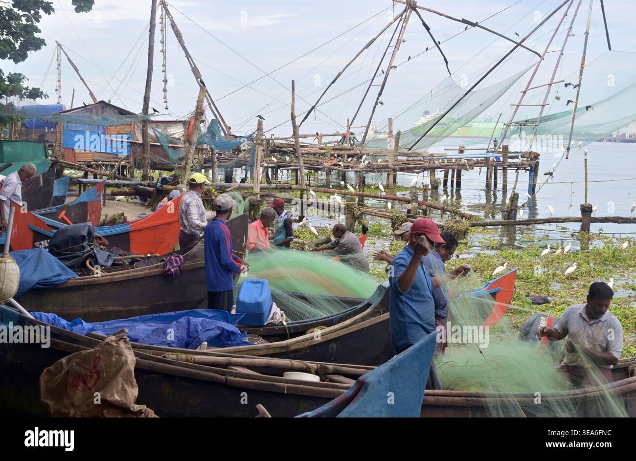 Reti da pesca al lago Vembanad, Fort Cochin, Kochi, Kerala, India meridionale Foto Stock