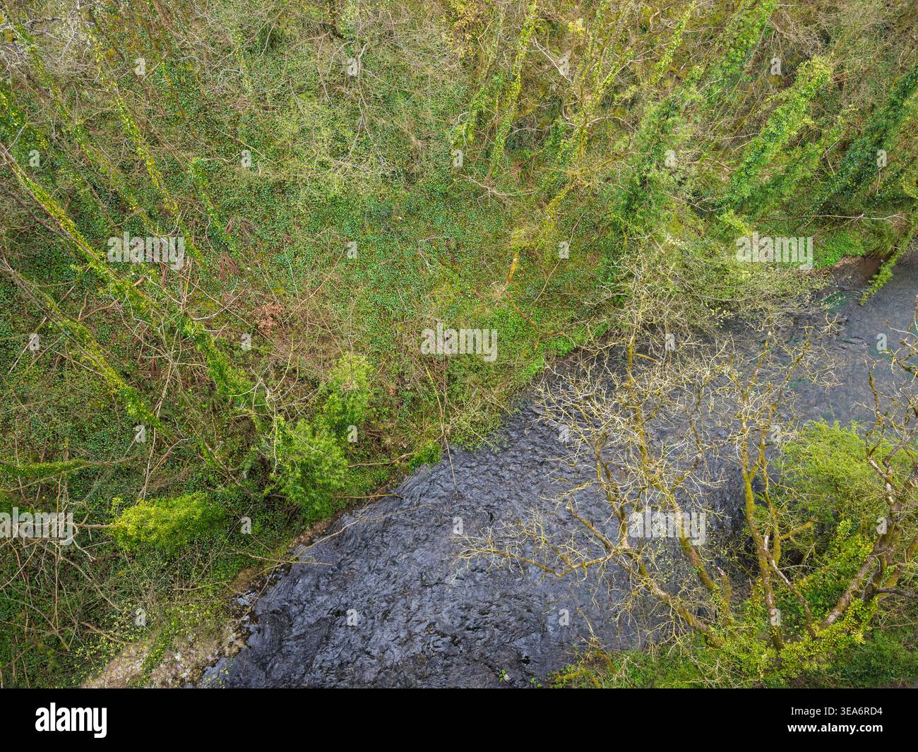 Il fiume Wye scorre attraverso la valle boscosa sotto il Monsal Trail, Peak District National Park, Derbyshire, Inghilterra, Regno Unito Foto Stock