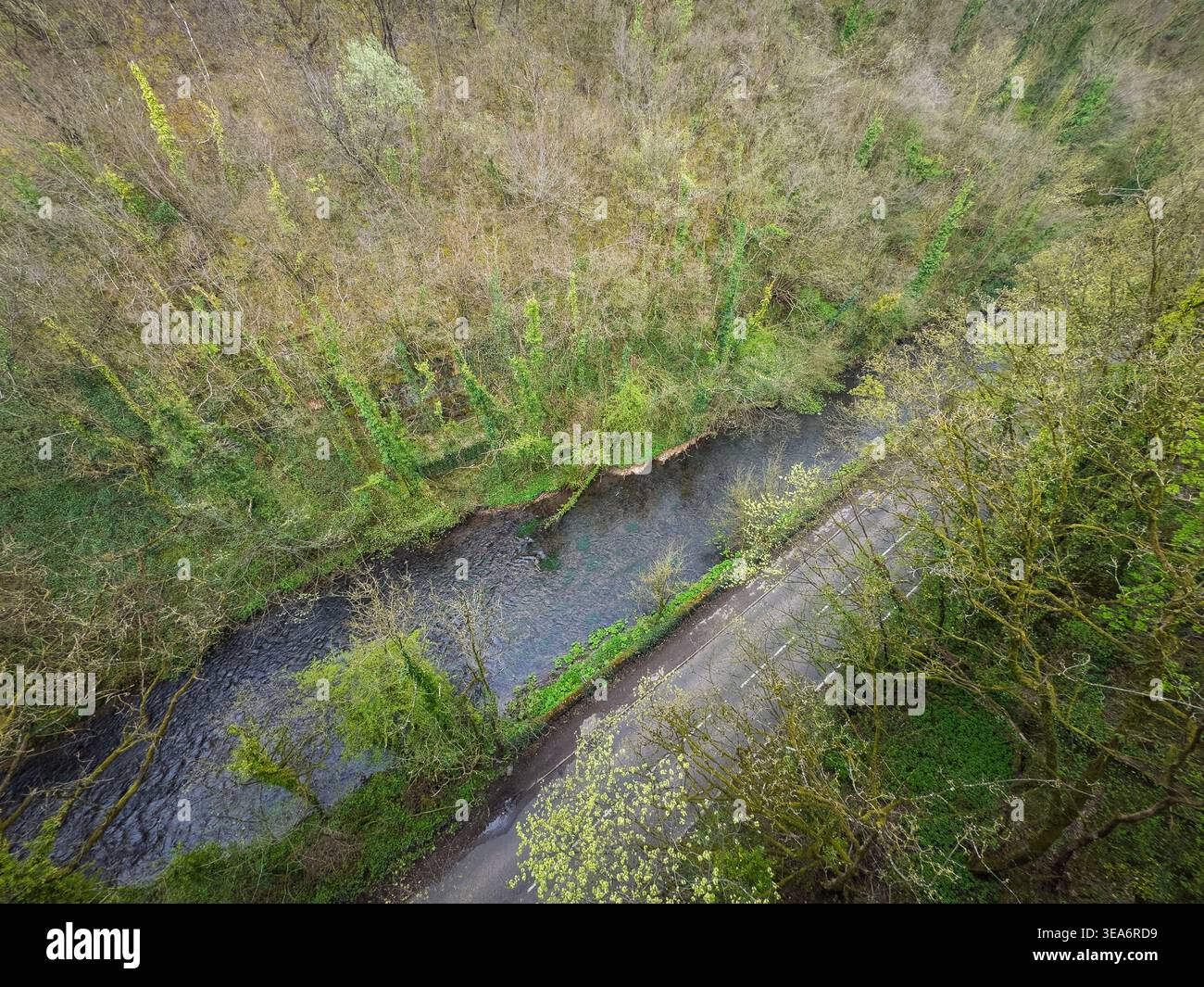 Il fiume Wye scorre lungo la strada B6049 vista dal Monsal Trail nel Peak District National Park, Derbyshire, Inghilterra. Foto Stock