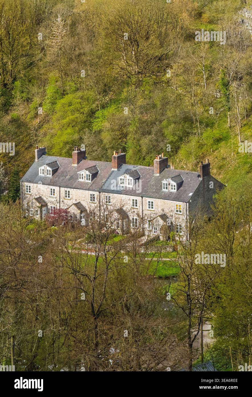 Blackwell Mill Cottages vista dal Monsal Trail nella Wye Valley, Peak District, Derbyshire, Inghilterra, circondato da boschi e vegetazione primaverile. Foto Stock