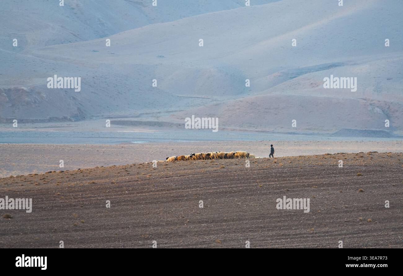 Un pastore cammina accanto ad un gregge vicino ad un lago tranquillo circondato da dolci colline Foto Stock