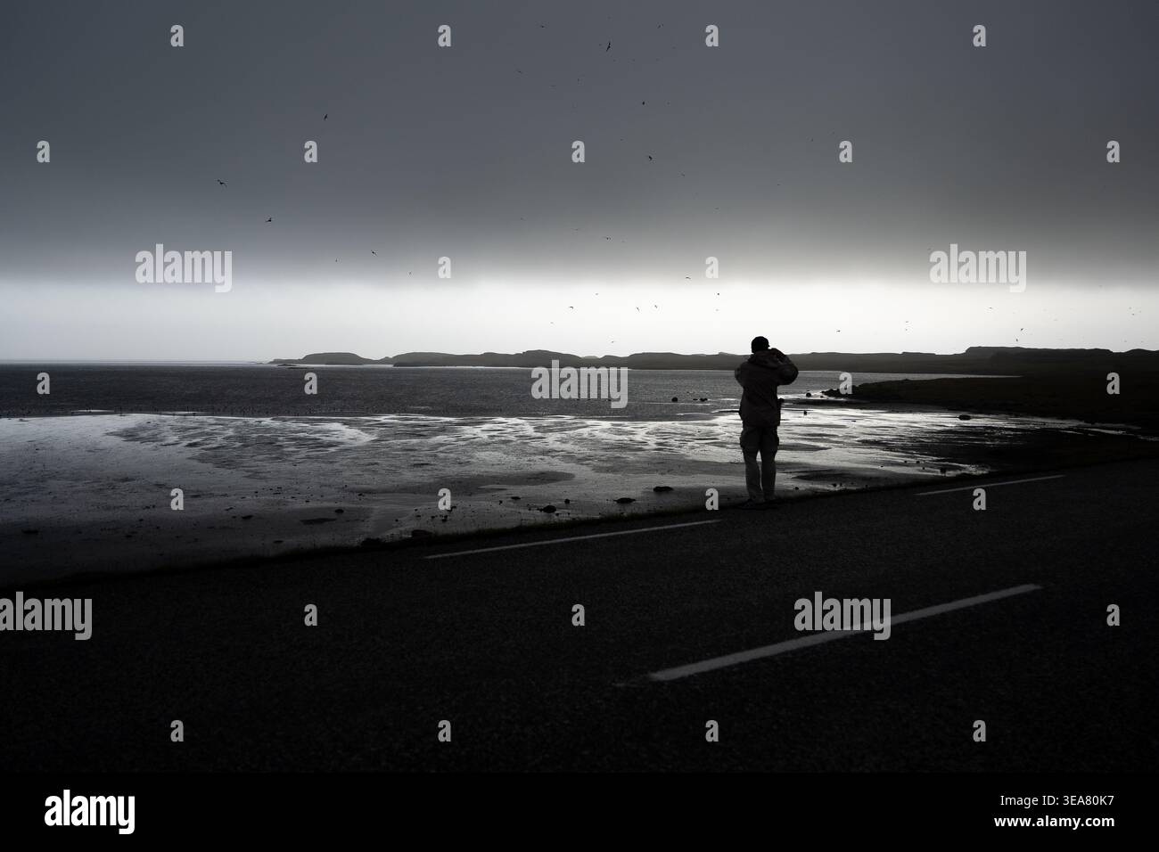 Persona in piedi sulla strada costiera che fotografa il mare tempestoso, il cielo spettacolare sulla spiaggia scura con un'atmosfera tranquilla e uccelli in lontananza Foto Stock