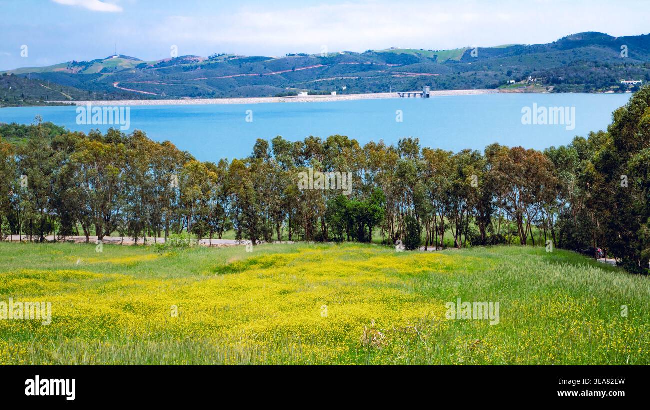 Prato verde punteggiato di fiori gialli in primo piano, una linea di alberi, acque calme della diga di Smir e colline ondulate sotto un cielo leggermente nebbioso. Foto Stock