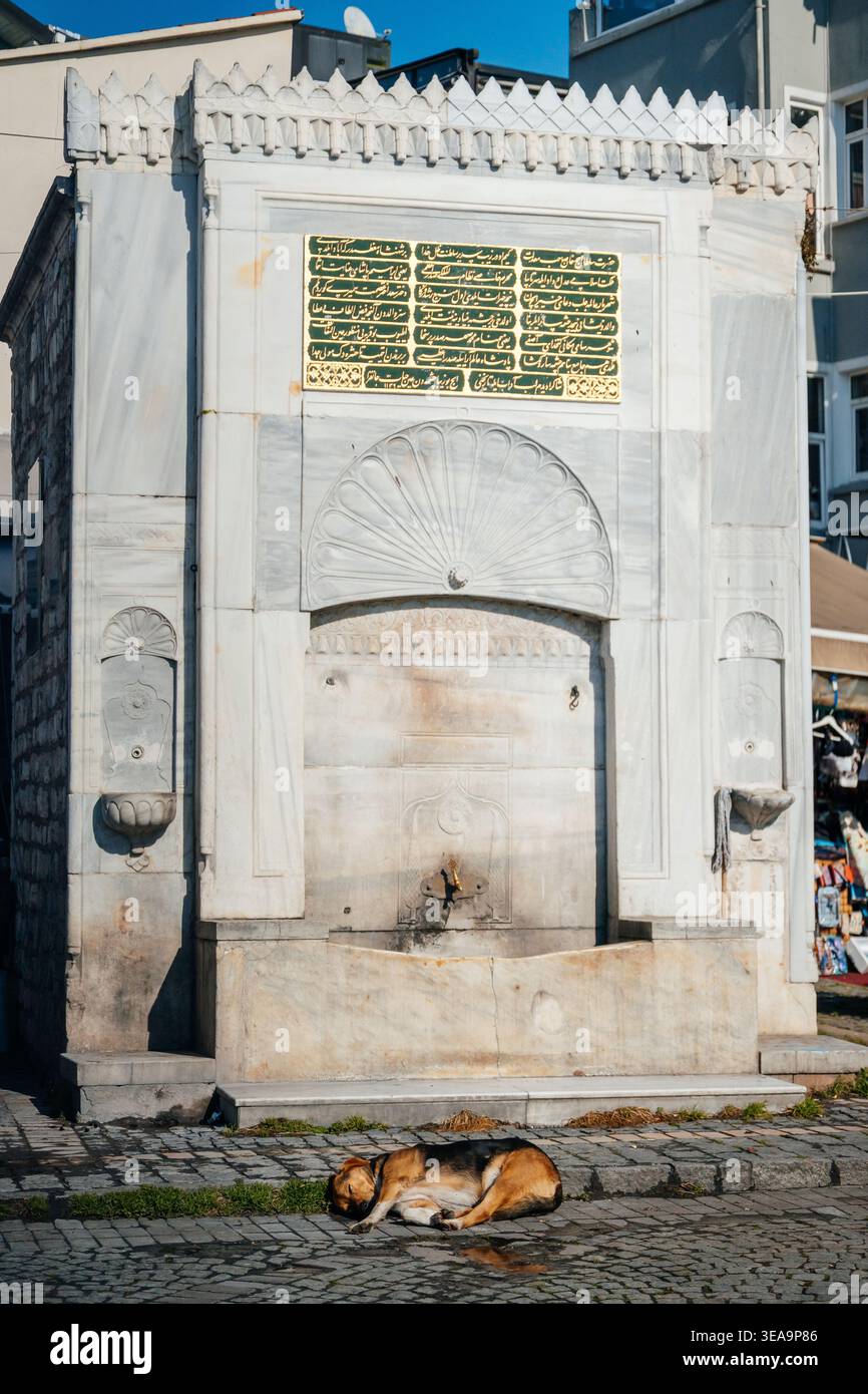 Idilliaca scena mattutina che condivide la tranquilla piazza della città con il cane addormentato e la storica fontana Foto Stock