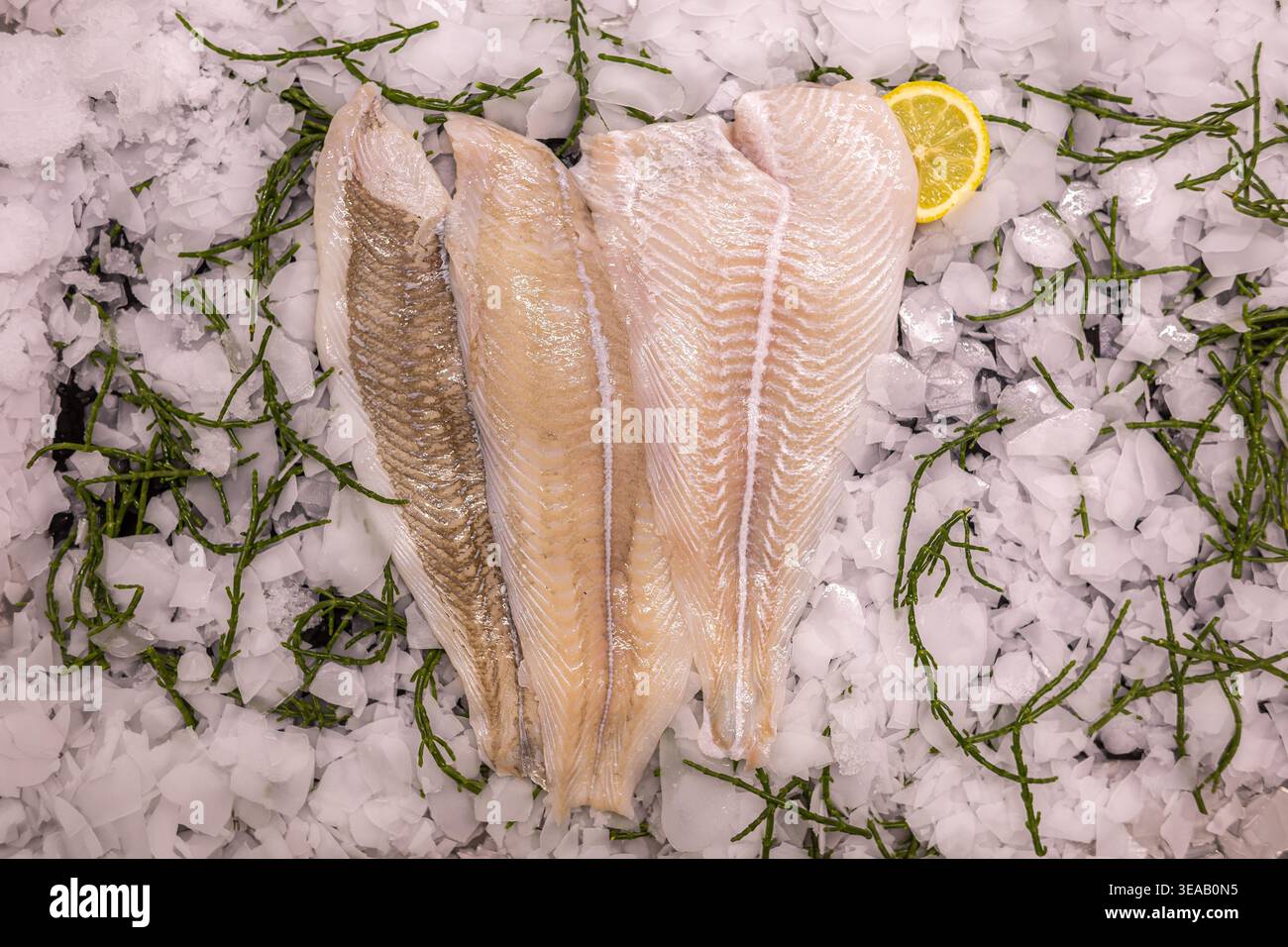 Tre filetti di pesce bianco sono messi su un letto di ghiaccio in un mercato. Accanto al pesce è inclusa una fetta di limone. Intorno al pesce c'è l'alga. Questo è Foto Stock