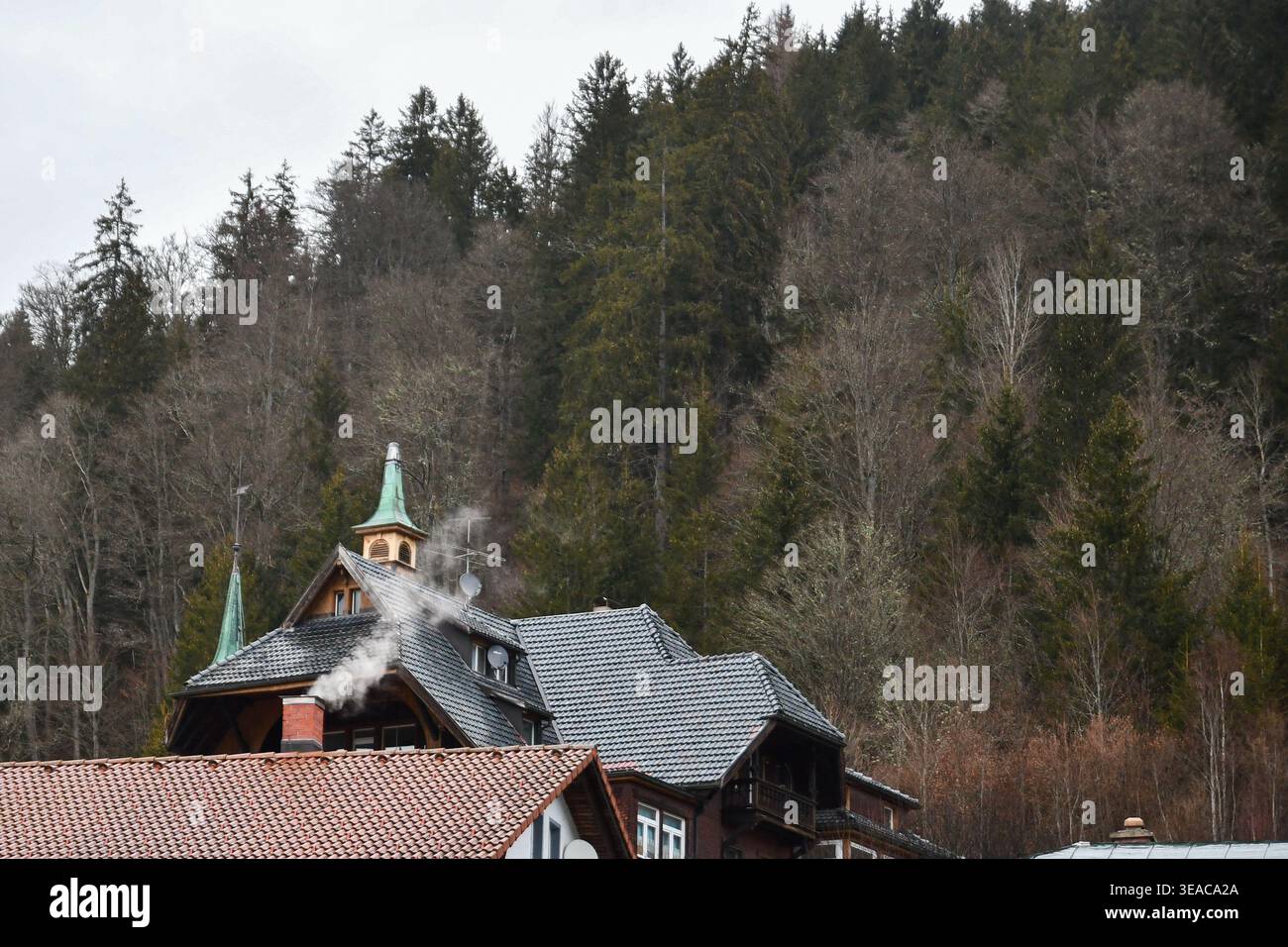 Saint Blasien germania Foto Stock