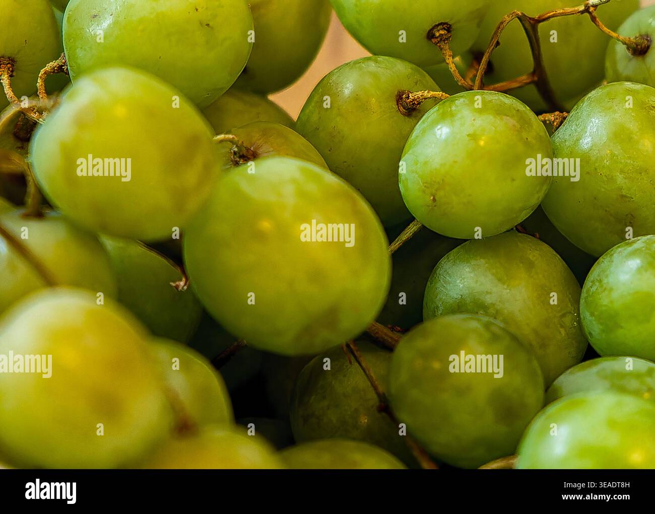 Un mucchio di uva pronto per mangiare Foto Stock