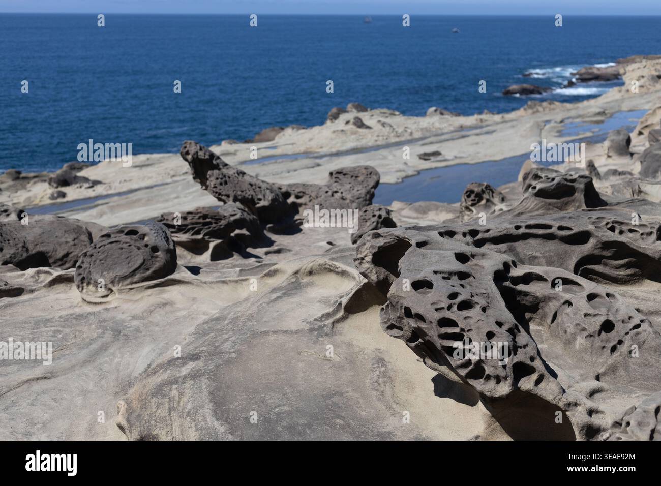 Tafoni, roccia a nido d'ape, presso lo Shore Acres State Park di Coos Bay, Oregon. Foto Stock