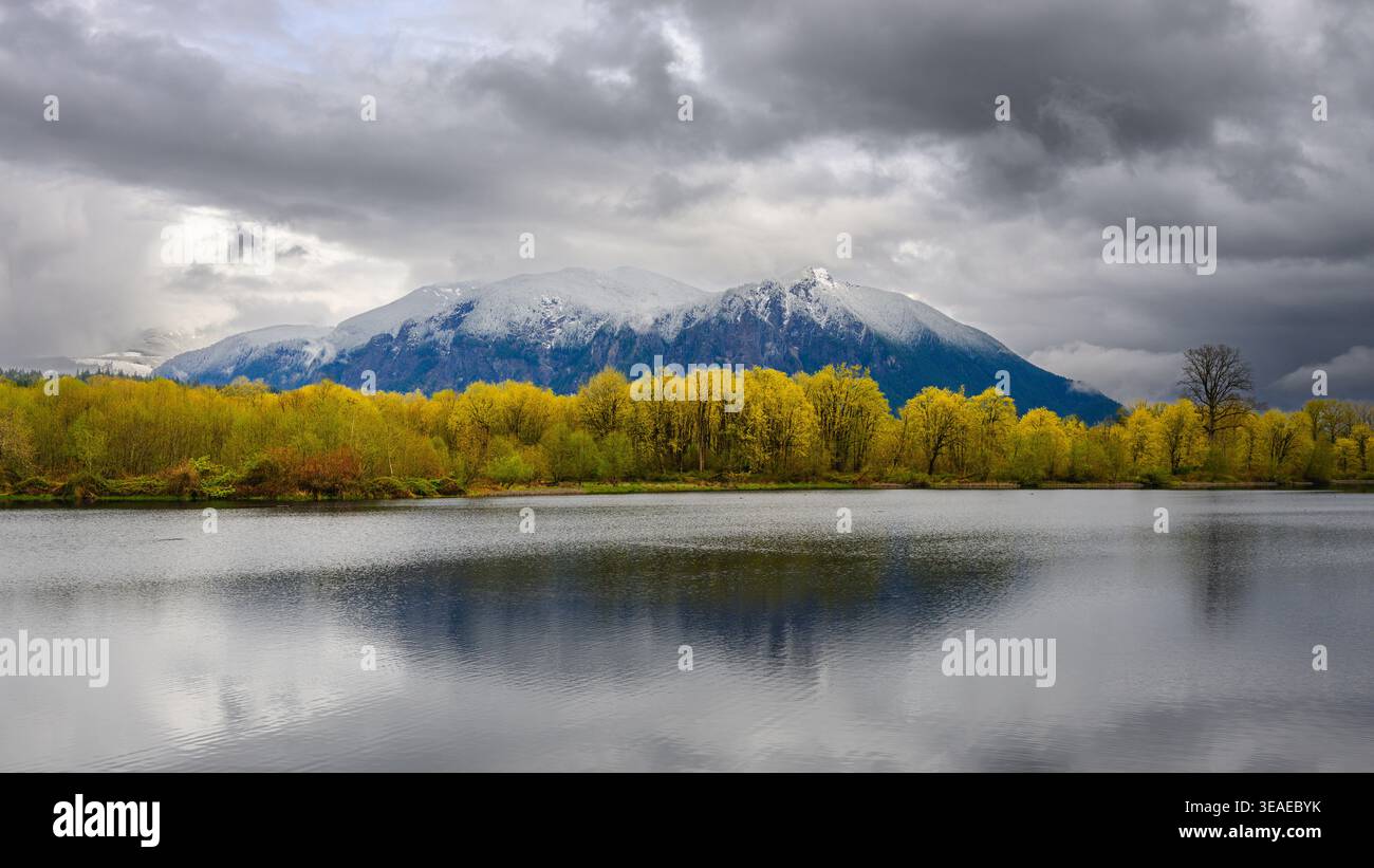 Neve primaverile sul monte si nelle cascate Washington con alberi gialli e il lago Borst Foto Stock