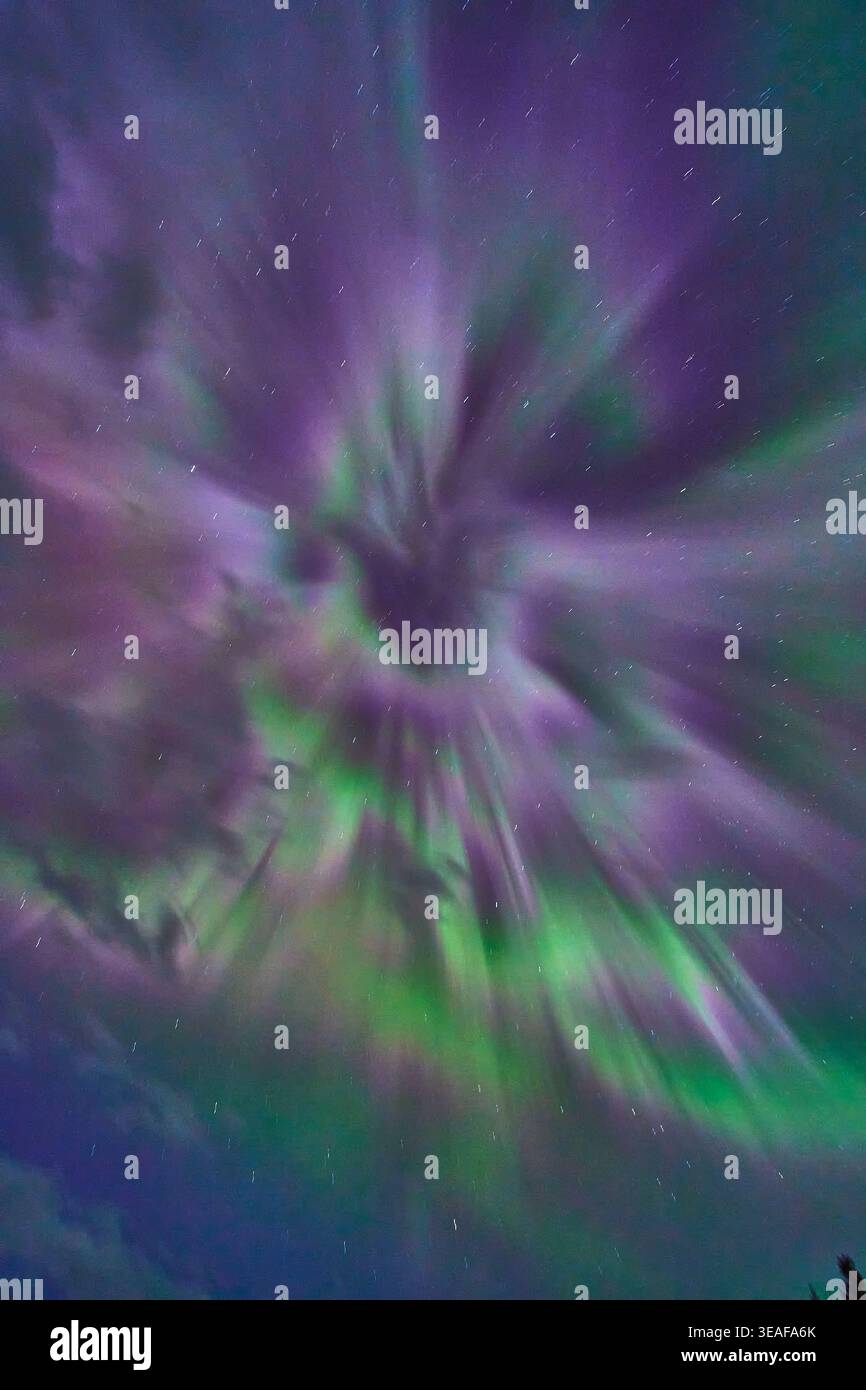Aurora boreale, Aurora Boreale Verde e Viola, cielo notturno invernale Foto Stock