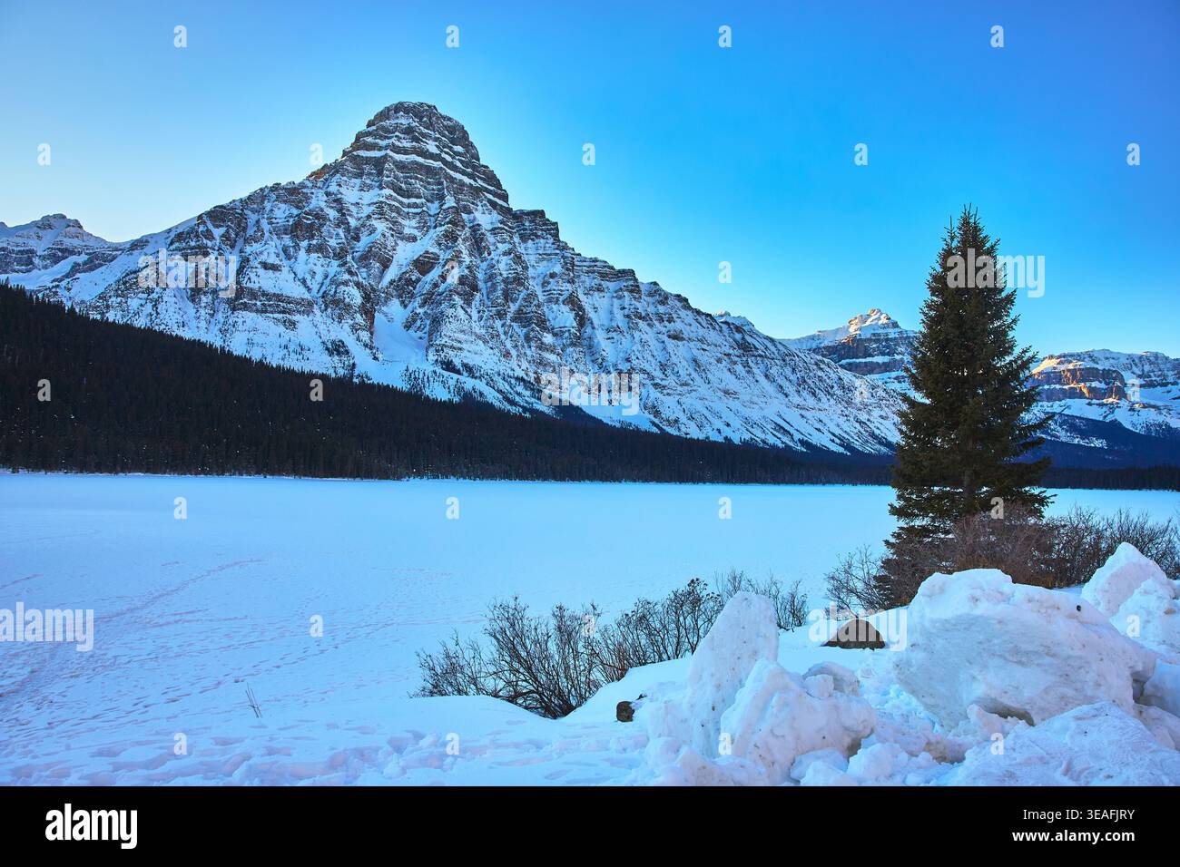 Montagna innevata, lago ghiacciato e albero Evergreen nel paesaggio invernale Foto Stock