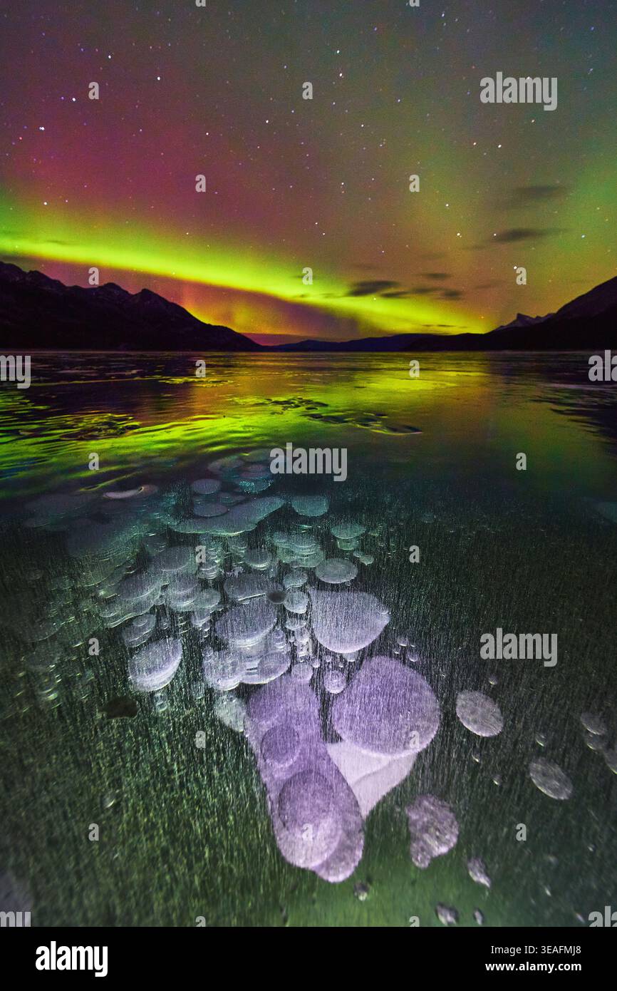Bolle di metano congelate, aurora boreale e silhouette montana riflessa sul lago invernale Foto Stock
