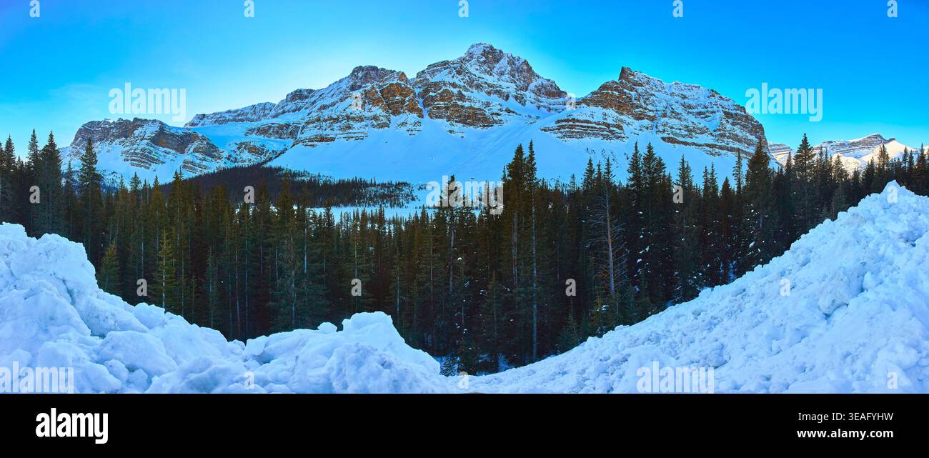 Montagne coperte di neve panoramiche e foresta di pini a Winter Banff Alberta Foto Stock