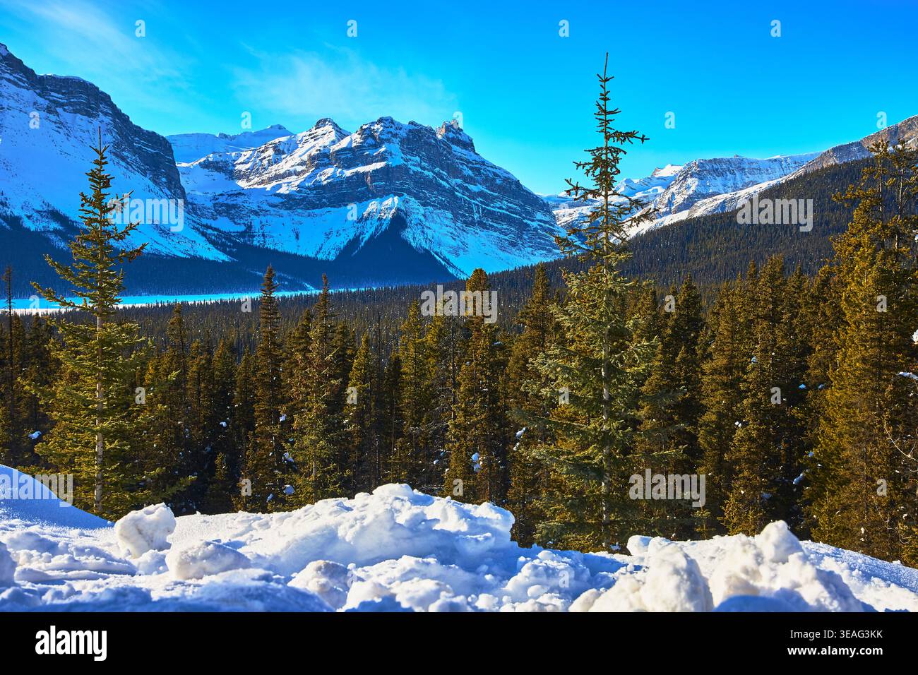 Montagne innevate e foresta Evergreen a Winter Banff Alberta Foto Stock