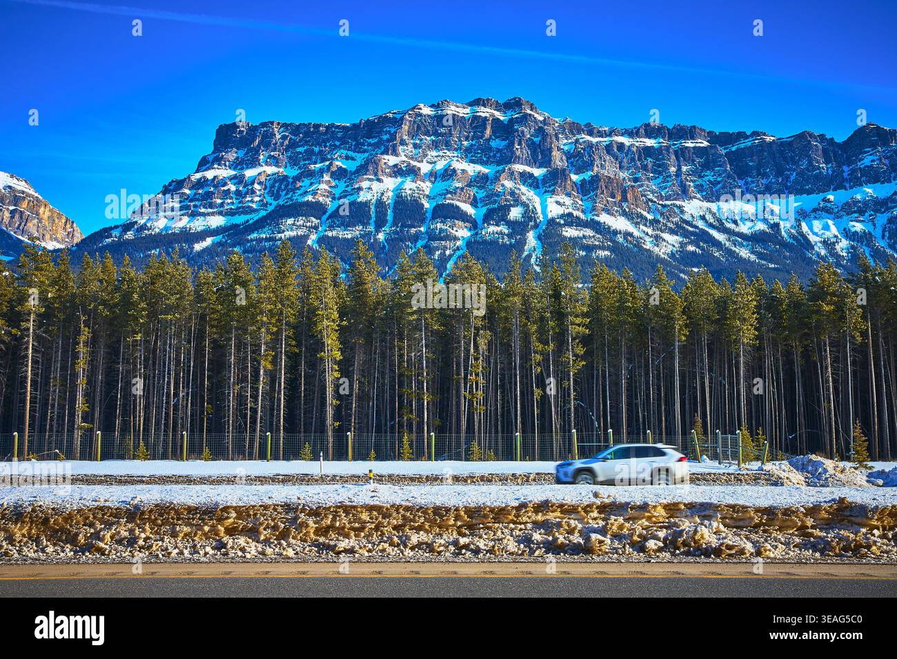 Gita in strada sulle montagne innevate a Banff Alberta con la foresta di pini e il paesaggio invernale Foto Stock