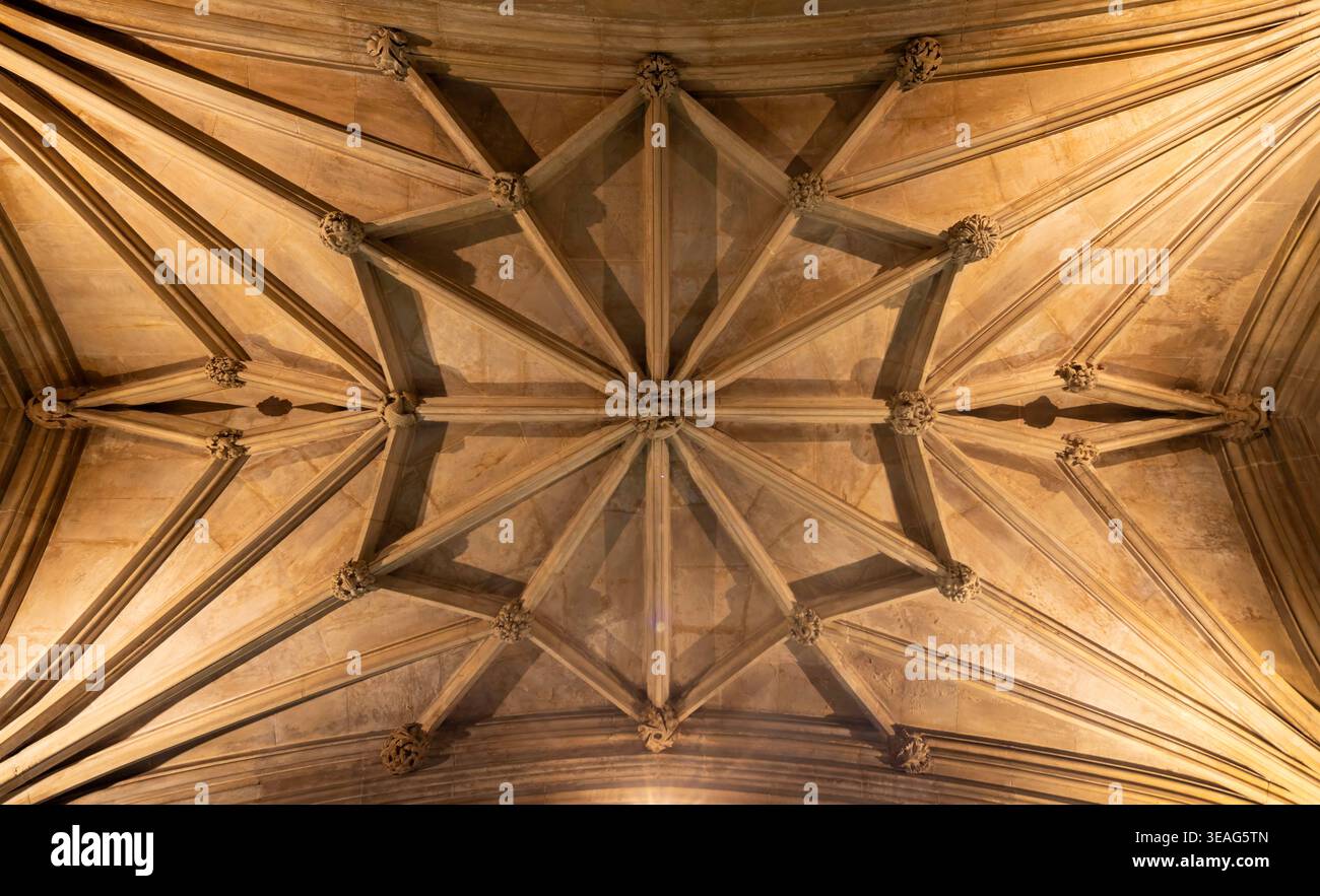 Caveau a coste, King's College Chapel, Cambridge, Inghilterra, Regno Unito Foto Stock