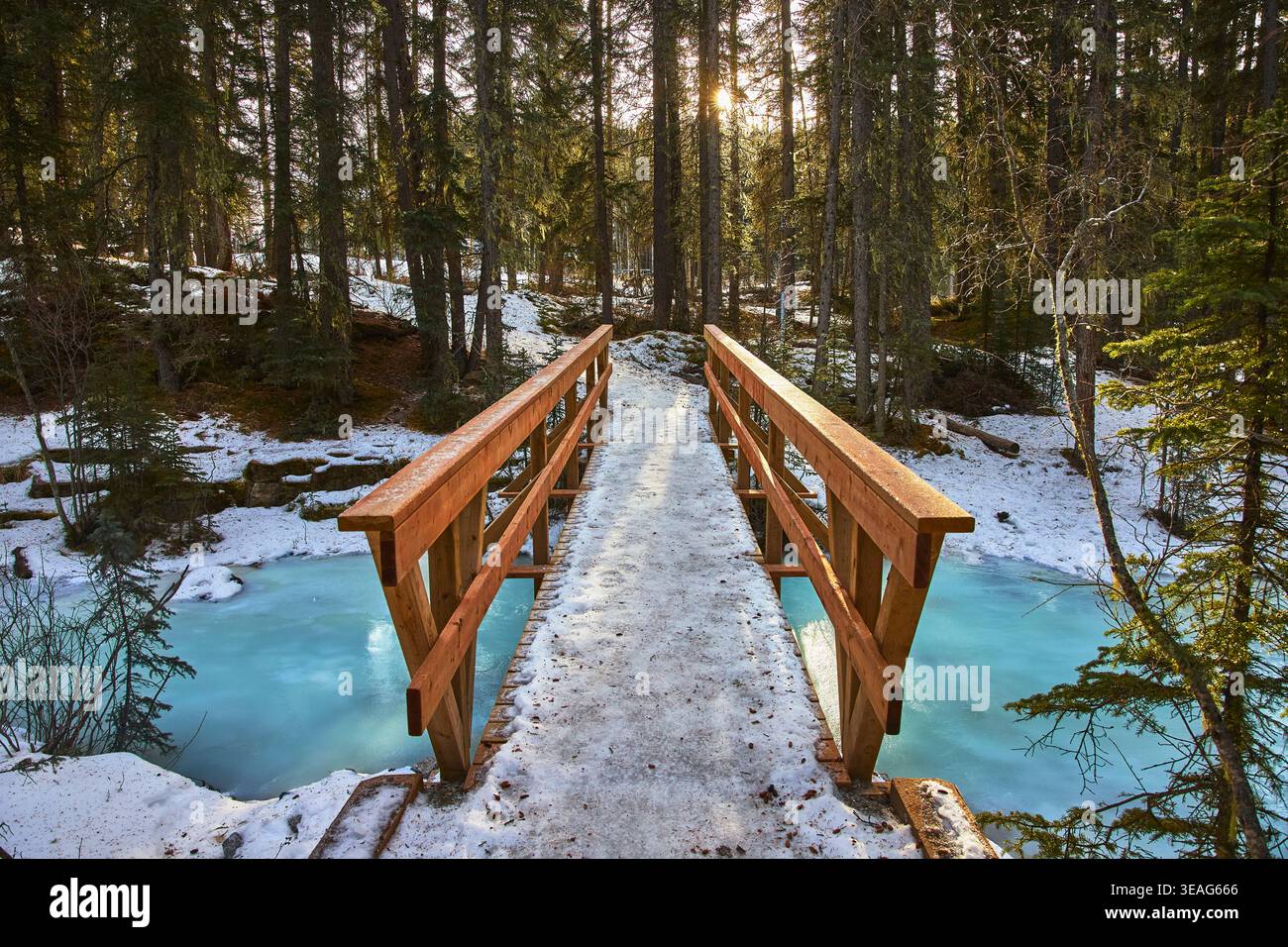 Ponte invernale sul fiume ghiacciato con Sunburst in Forest Trail Foto Stock