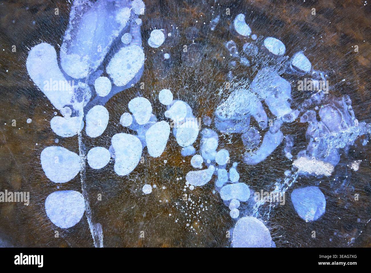 Bolle di metano congelate e crepe nel ghiaccio invernale in primo piano sulla superficie del lago Foto Stock