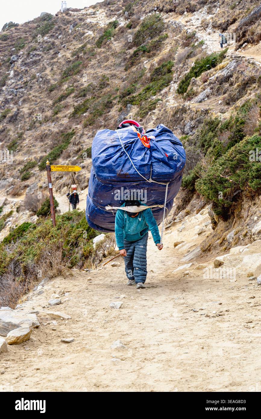 Sherpa locale che trasporta merci pesanti tra Pangboche e Shomare, Himalaya, Nepal Foto Stock