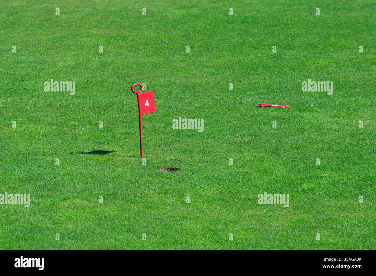 Un marcatore rosso numero 4 su un putting green, Regno Unito Foto Stock