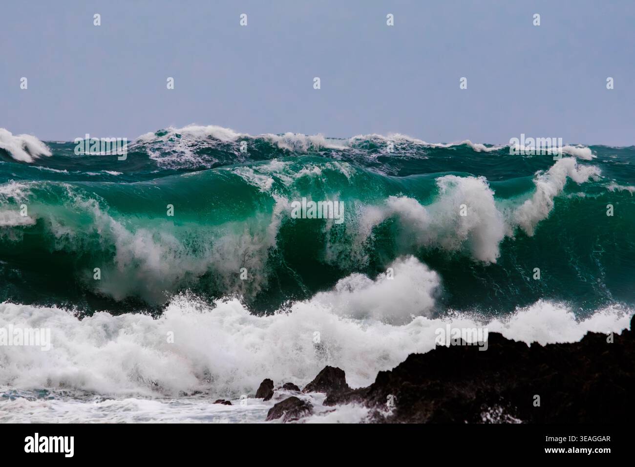 Primo piano di una potente onda di rottura con toni verdi e turchesi profondi lungo la costa meridionale di Wellington, nuova Zelanda. Foto Stock