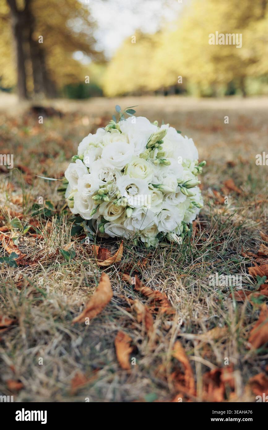 Bouquet nuziale che riposa sull'erba autunnale tra foglie cadute, Rose bianche a contrasto con calde tonalità marroni del parco naturale Vibe rustica, stagionale Foto Stock